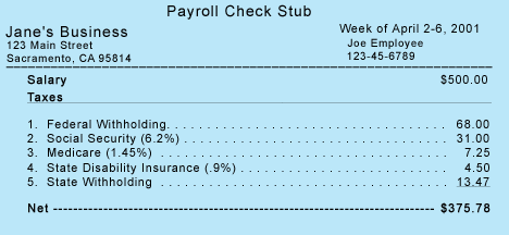 picture of payroll check stub